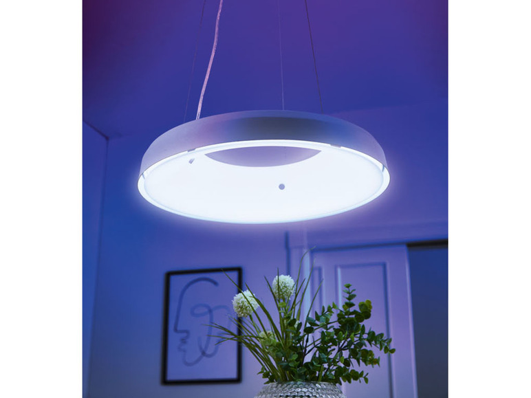 Ga naar volledige schermweergave: LIVARNO home LED-plafondlamp - Zigbee Smart Home - afbeelding 6