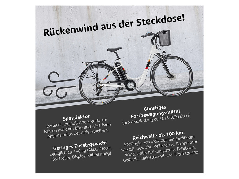 Ga naar volledige schermweergave: TELEFUNKEN E-bike City RC822 multitalent 28" - afbeelding 25