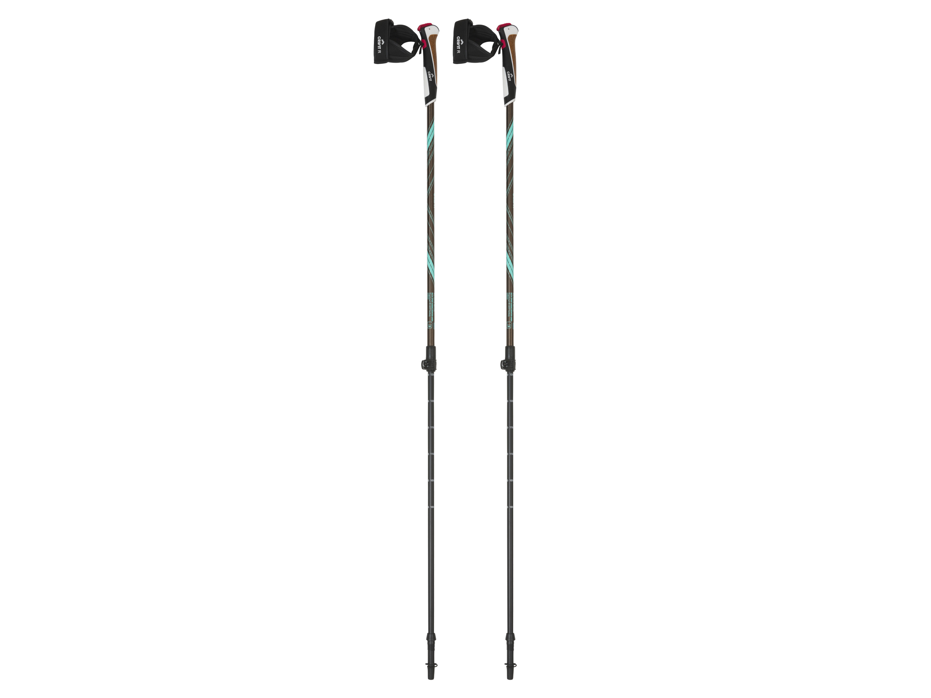 CRIVIT Nordic Walkingstokken (zilver/groen/zwart)