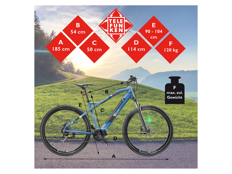 Ga naar volledige schermweergave: TELEFUNKEN E-mountainbike Klimmer M925 27,5 / 29" - afbeelding 22