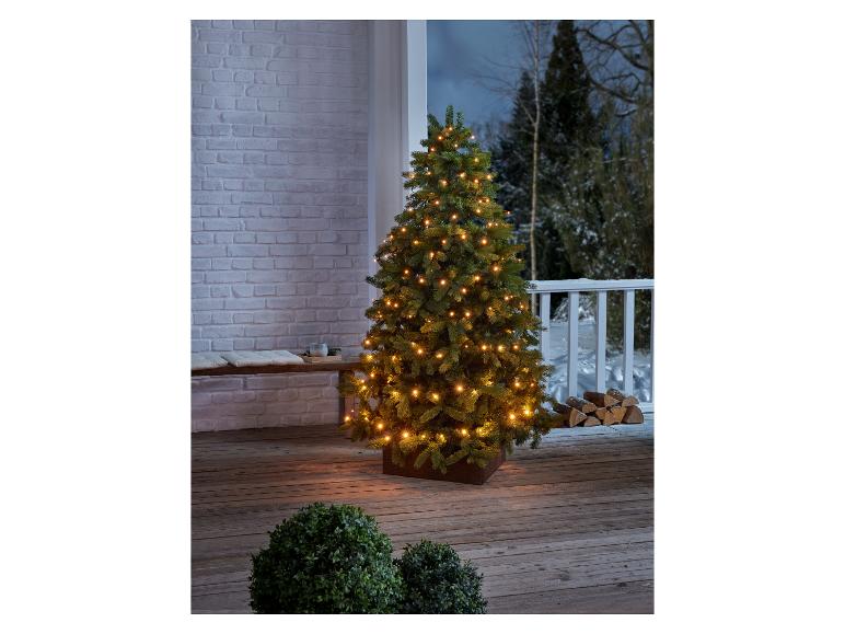 Ga naar volledige schermweergave: LIVARNO home LED-kerstboomverlichting - afbeelding 10