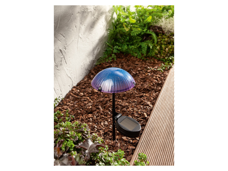 Ga naar volledige schermweergave: LIVARNO home Decoratieve LED-solarlamp - afbeelding 17