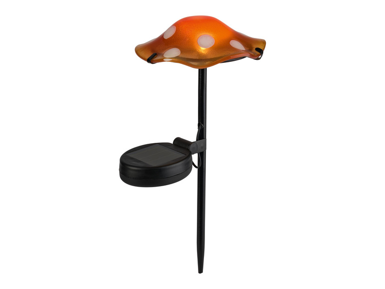 Ga naar volledige schermweergave: LIVARNO home Decoratieve LED-solarlamp - afbeelding 12