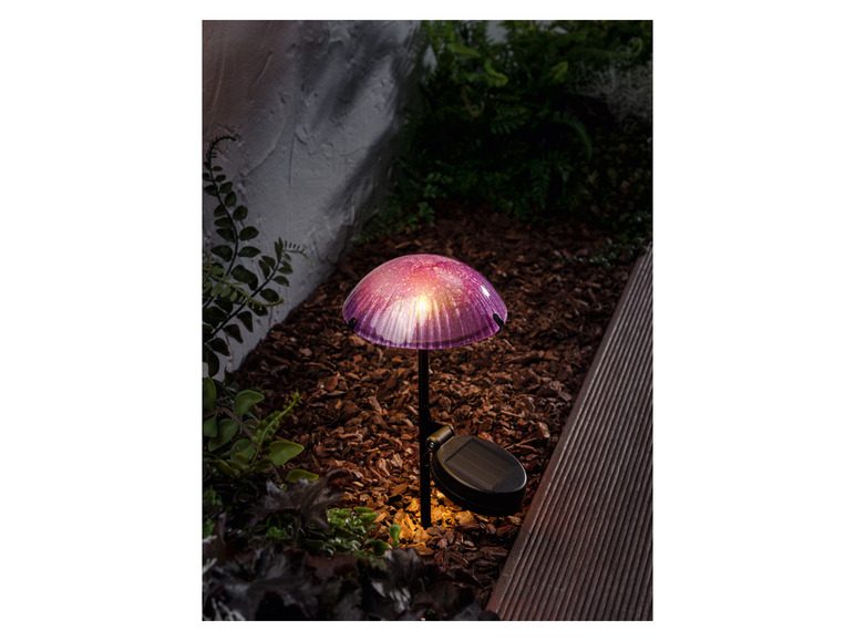 Ga naar volledige schermweergave: LIVARNO home Decoratieve LED-solarlamp - afbeelding 19