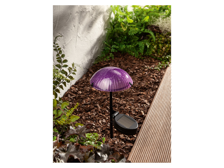 Ga naar volledige schermweergave: LIVARNO home Decoratieve LED-solarlamp - afbeelding 21