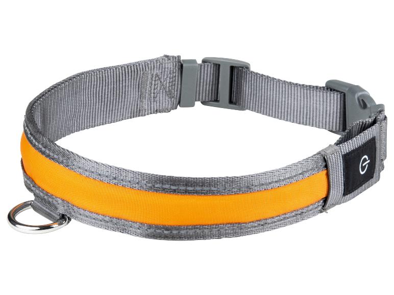 Ga naar volledige schermweergave: zoofari® LED-hondenhalsband - afbeelding 9