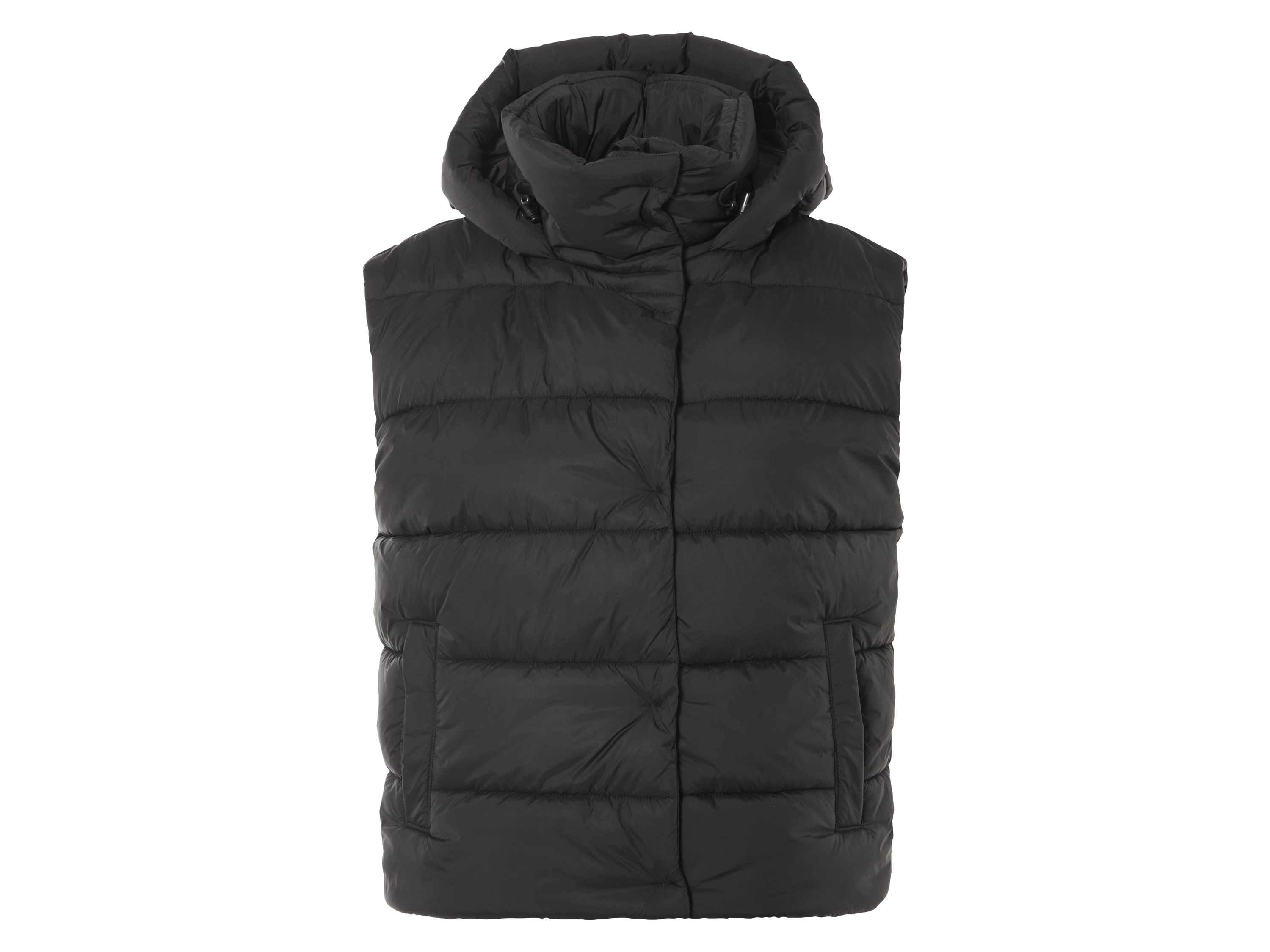 esmara Dames gewatteerde bodywarmer (L (44-46), Zwart)