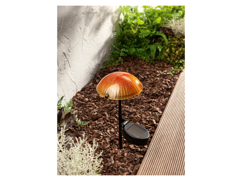 Ga naar volledige schermweergave: LIVARNO home Decoratieve LED-solarlamp - afbeelding 25