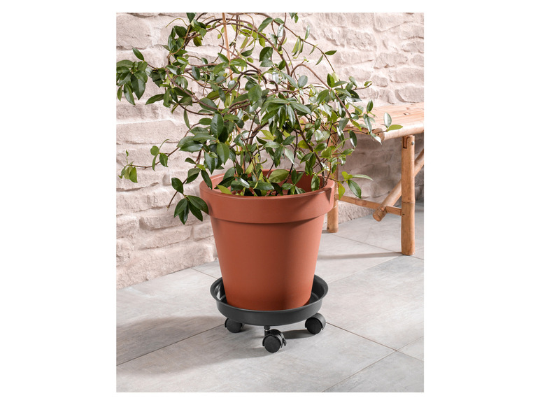 Ga naar volledige schermweergave: PARKSIDE® Plantenroller - afbeelding 23