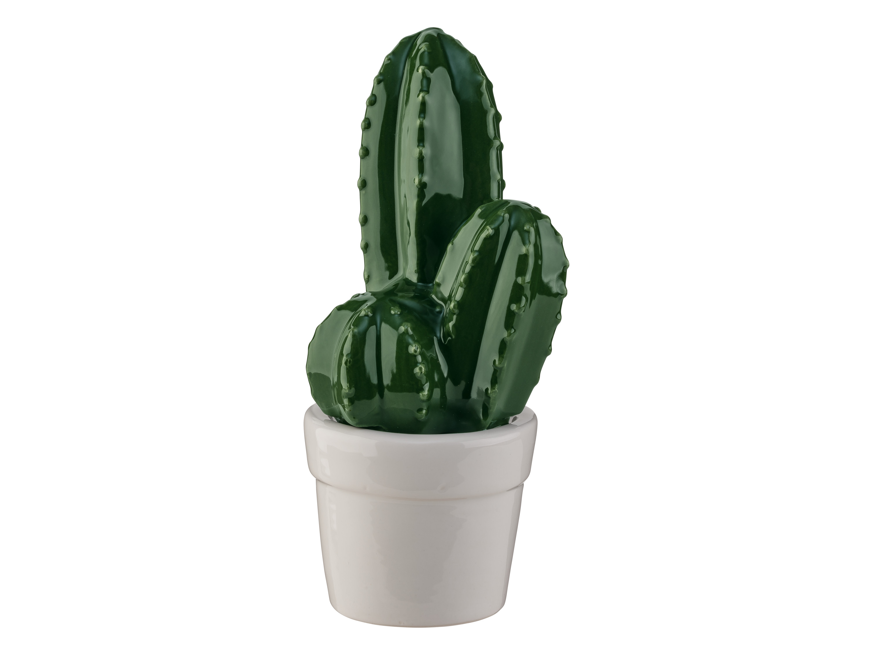 LIVARNO home Decoratieve cactussen (Cactus met pot)