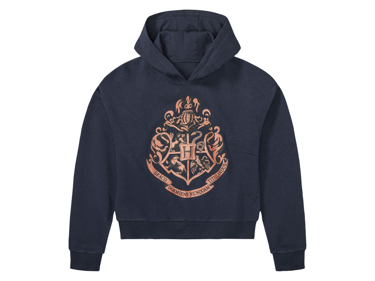 Harry Potter kinder hoodie (vrouwelijk, 158/164, Marineblauw)
