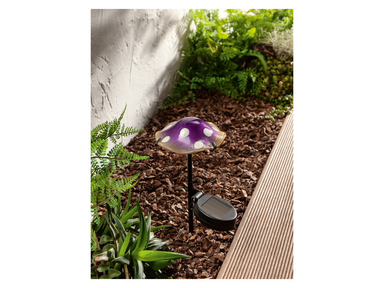 Ga naar volledige schermweergave: LIVARNO home Decoratieve LED-solarlamp - afbeelding 9