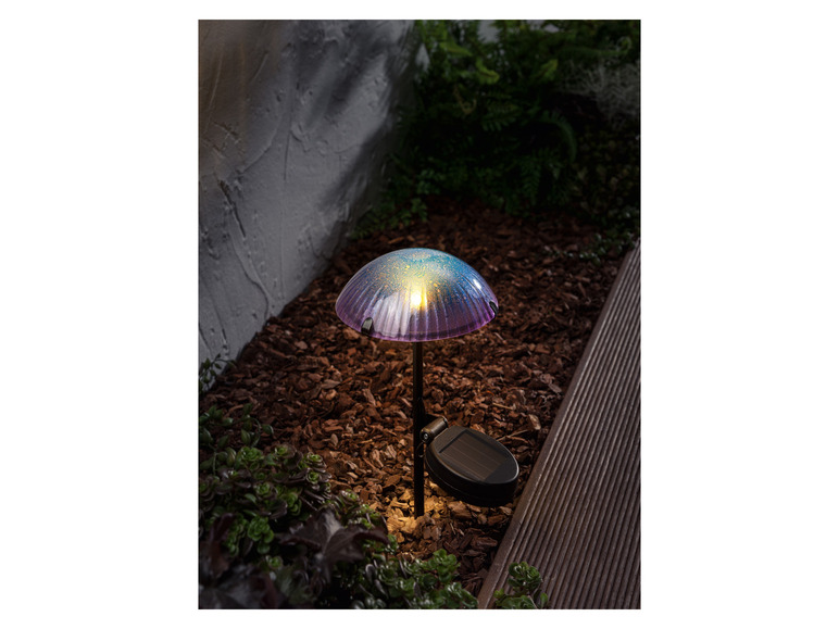 Ga naar volledige schermweergave: LIVARNO home Decoratieve LED-solarlamp - afbeelding 15