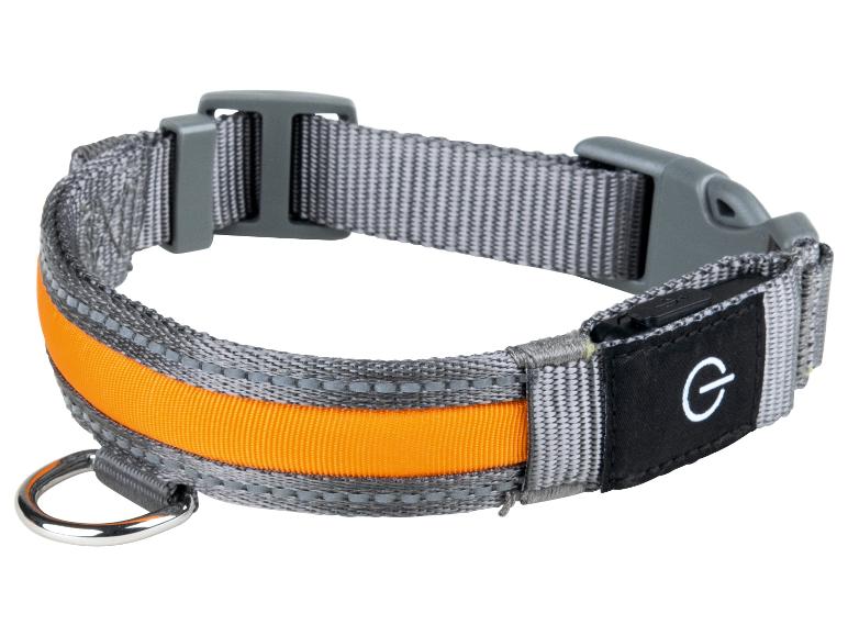 Ga naar volledige schermweergave: zoofari® LED-hondenhalsband - afbeelding 1