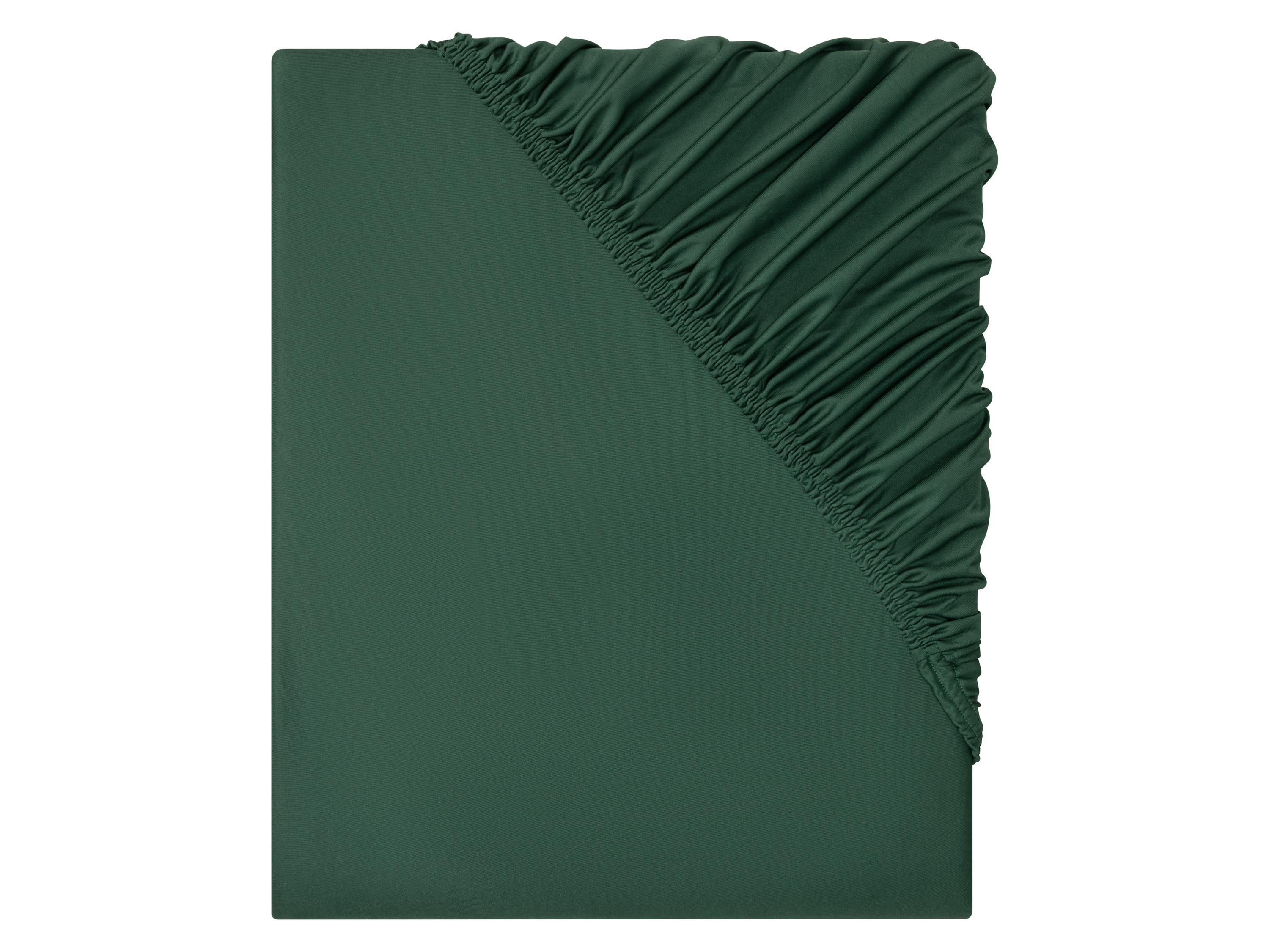 LIVARNO home Jersey hoeslaken 140-160 x 200 cm (Groen)