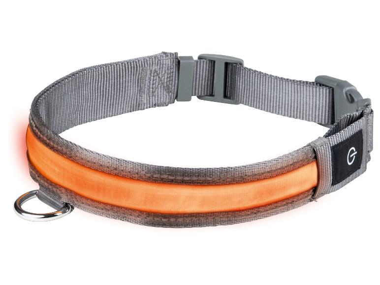 Ga naar volledige schermweergave: zoofari® LED-hondenhalsband - afbeelding 12