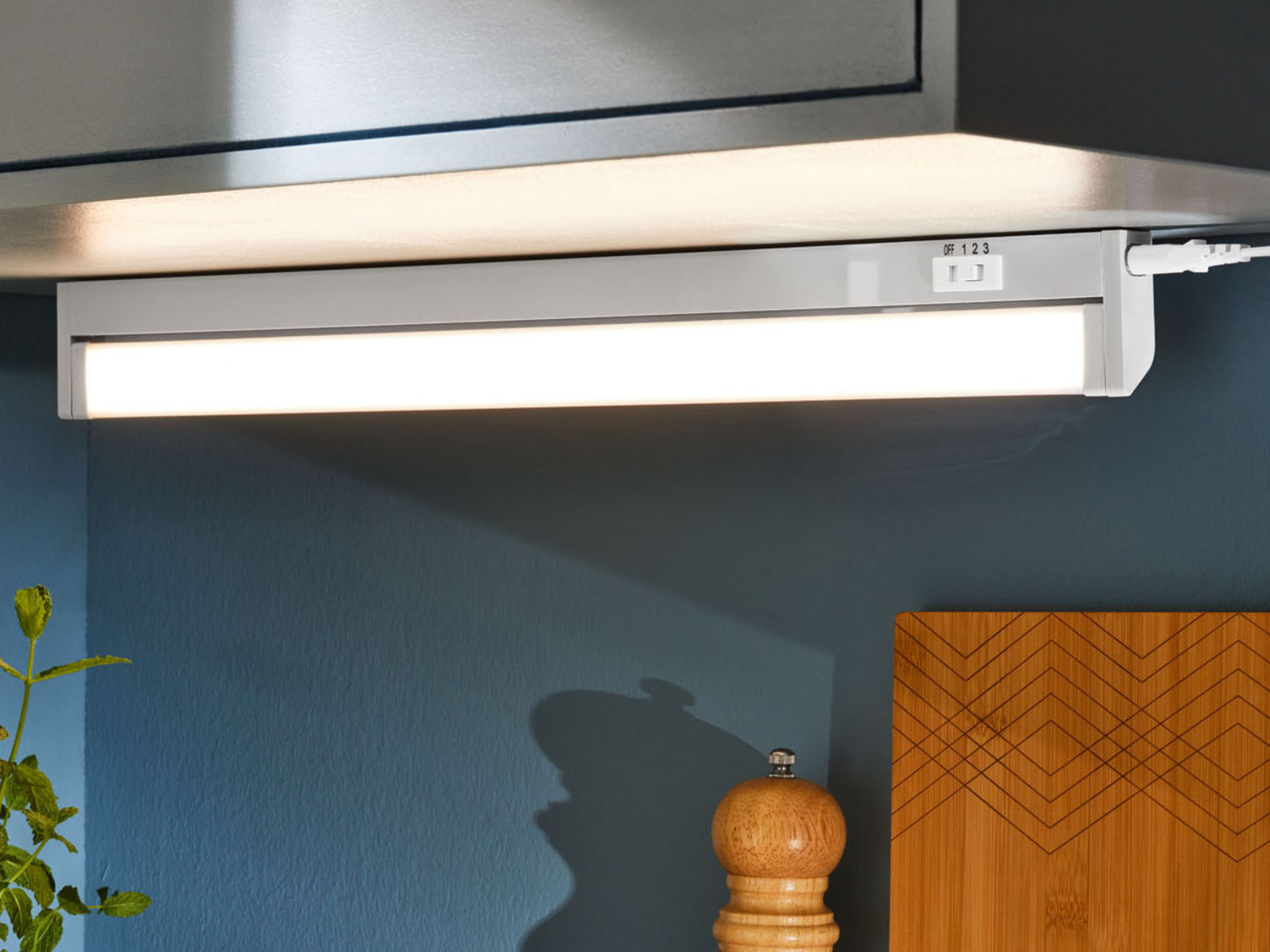 Is Associëren Huiswerk maken LIVARNO home LED-onderbouwlamp online kopen | LIDL