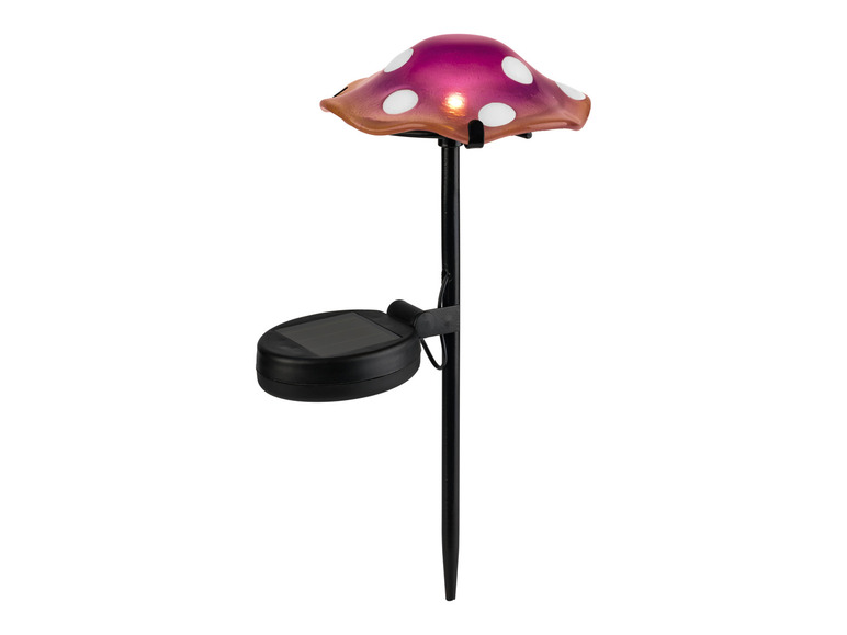 Ga naar volledige schermweergave: LIVARNO home Decoratieve LED-solarlamp - afbeelding 8