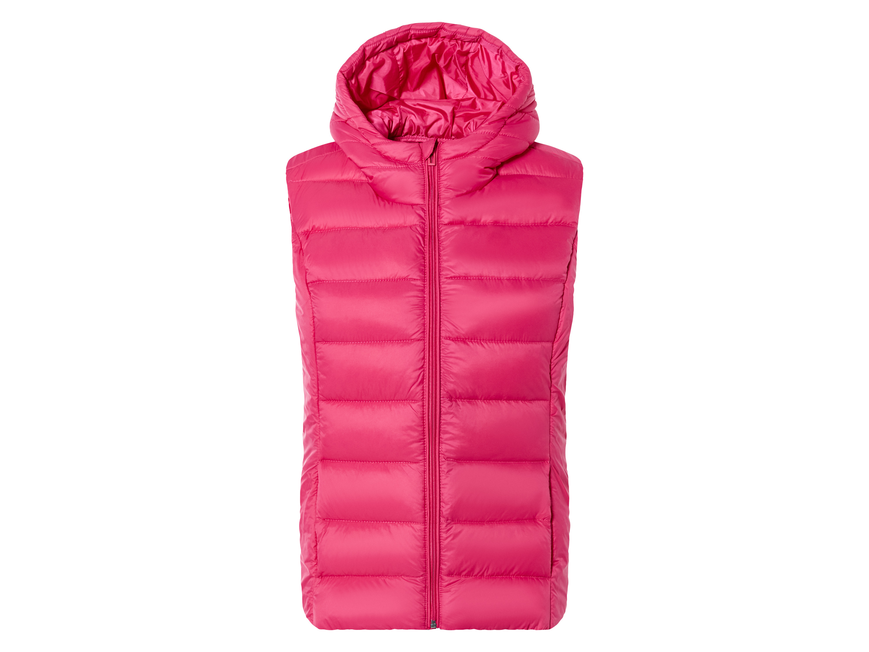 esmara Dames bodywarmer (M (40/42), Roze)