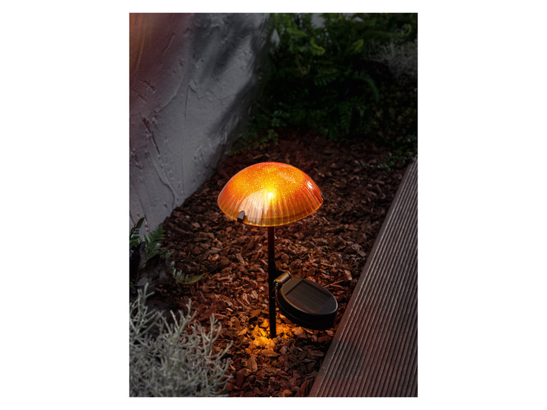 Ga naar volledige schermweergave: LIVARNO home Decoratieve LED-solarlamp - afbeelding 23