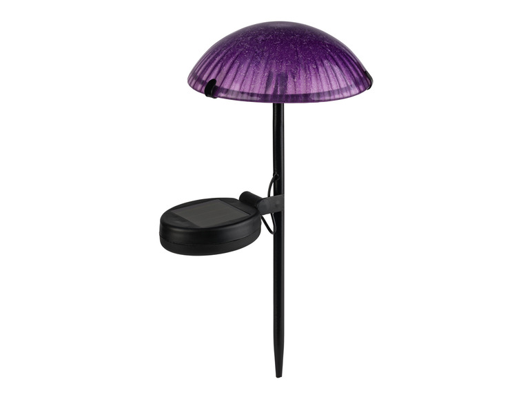 Ga naar volledige schermweergave: LIVARNO home Decoratieve LED-solarlamp - afbeelding 18