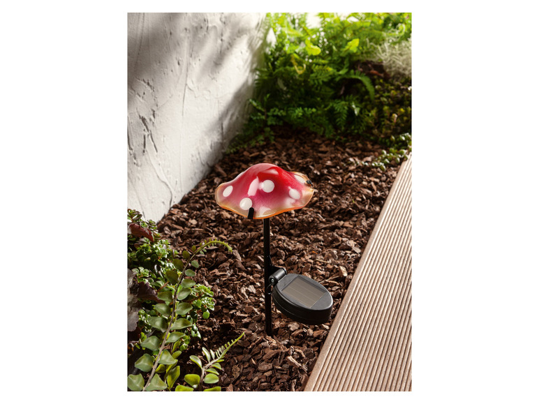 Ga naar volledige schermweergave: LIVARNO home Decoratieve LED-solarlamp - afbeelding 5