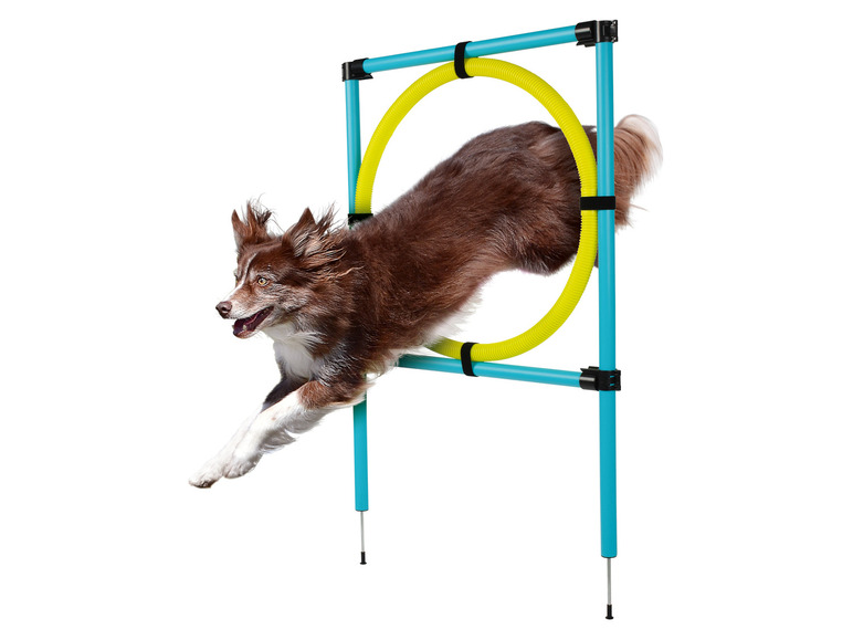 Ga naar volledige schermweergave: Honden agility set - afbeelding 2