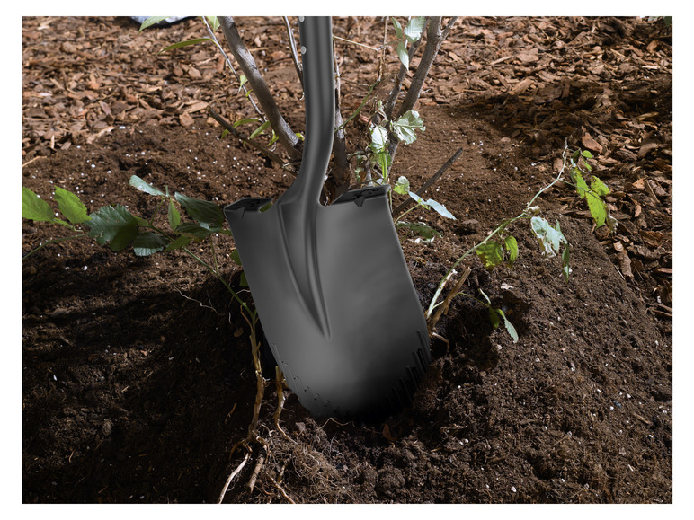 Ga naar volledige schermweergave: PARKSIDE® Spade of schop - afbeelding 5