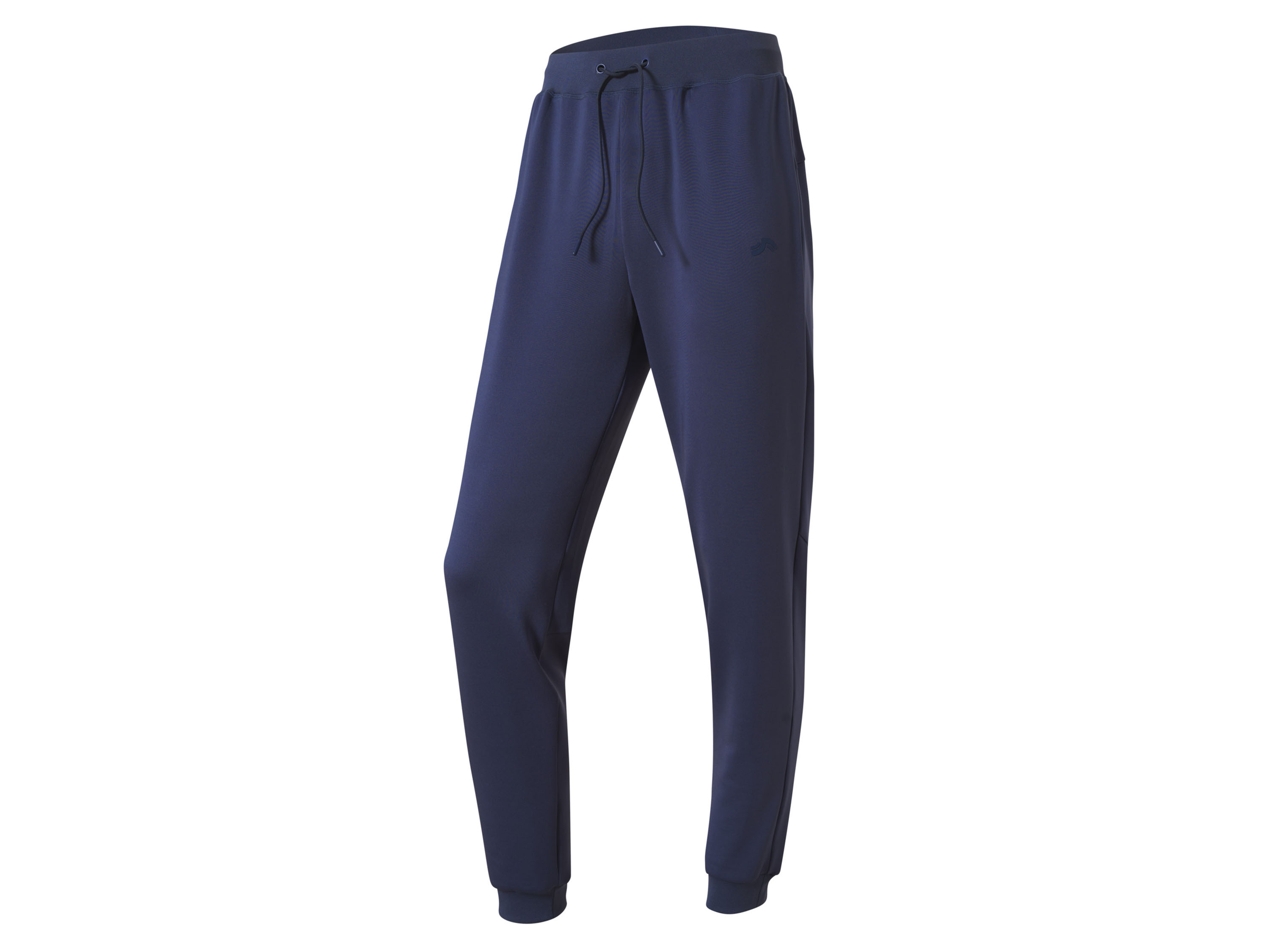 CRIVIT Heren joggingbroek (Blauw, L (52/54))