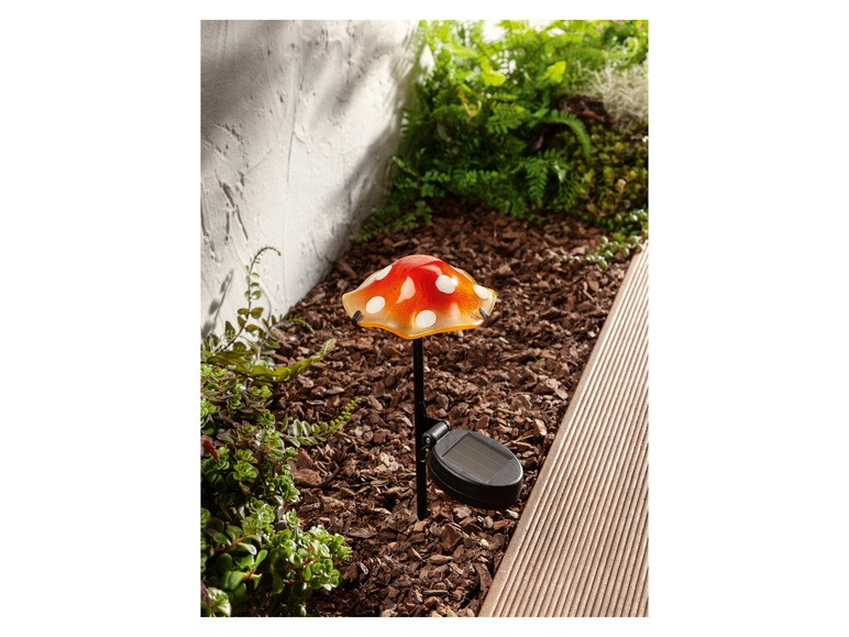 Ga naar volledige schermweergave: LIVARNO home Decoratieve LED-solarlamp - afbeelding 13