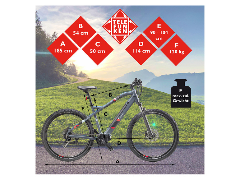 Ga naar volledige schermweergave: TELEFUNKEN E-mountainbike Klimmer M925 27,5 / 29" - afbeelding 30