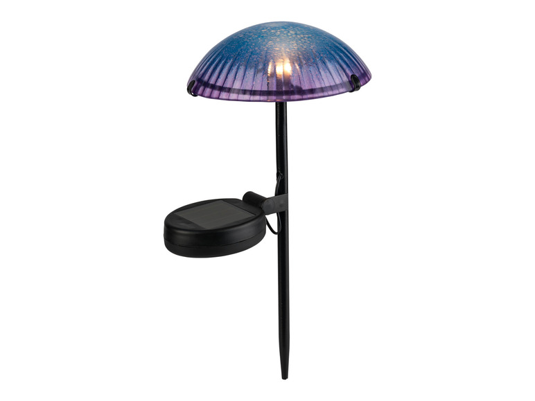 Ga naar volledige schermweergave: LIVARNO home Decoratieve LED-solarlamp - afbeelding 16