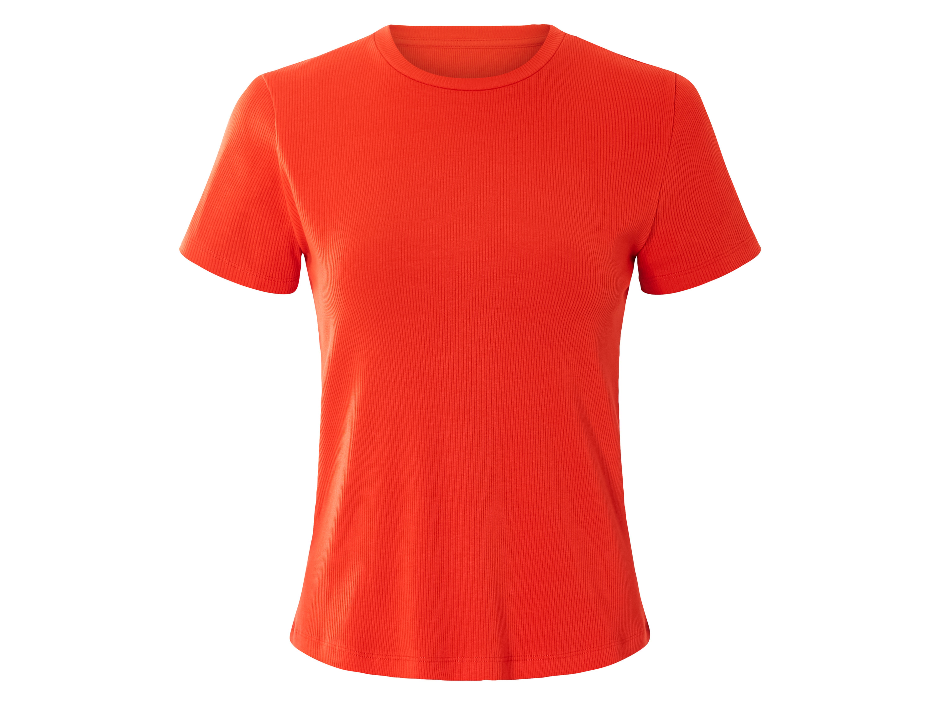 esmara Dames T-shirt (L(44/46), Oranje)