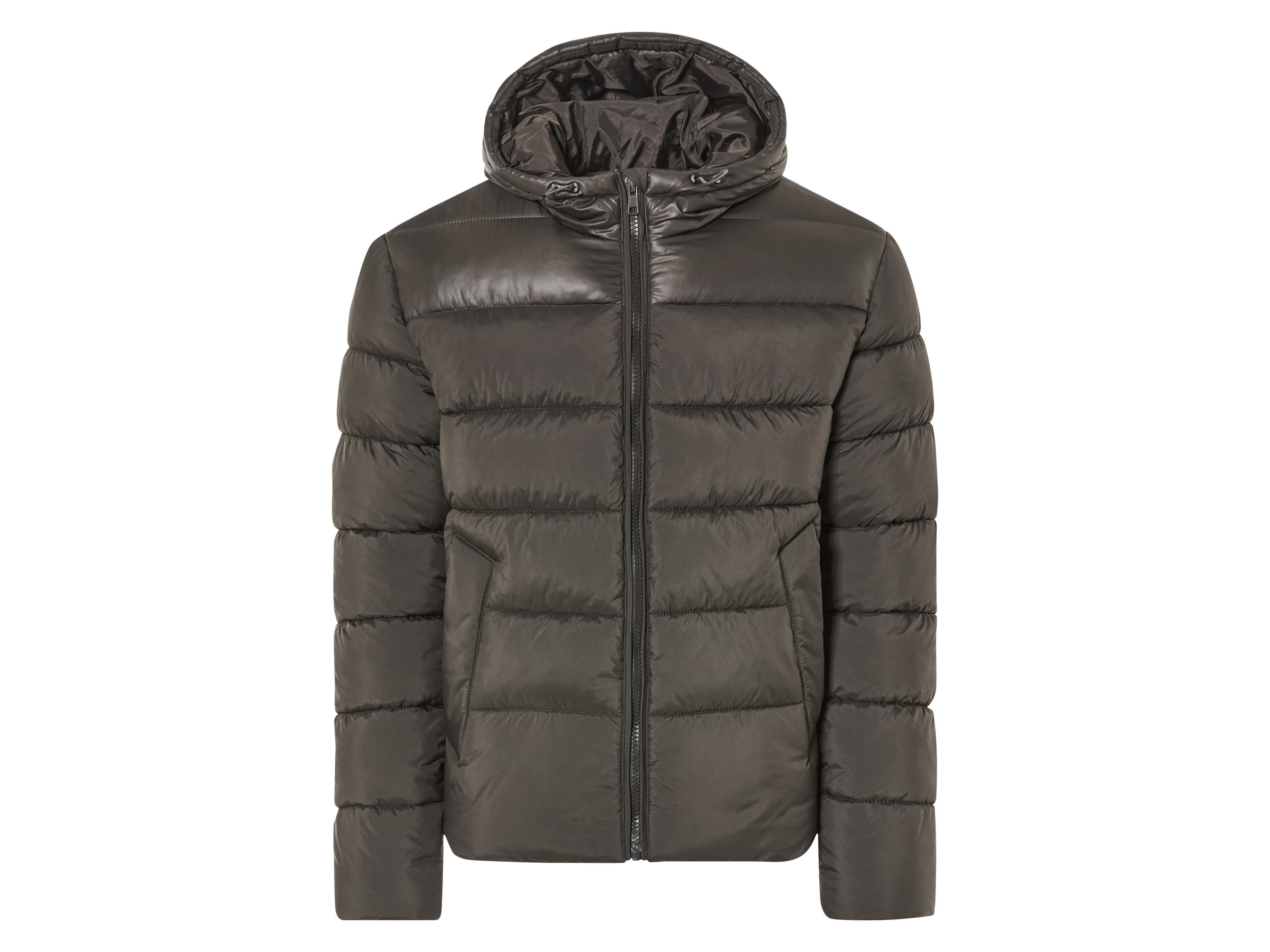 LIVERGY Heren winterjas (XL (56/58), Bruin)