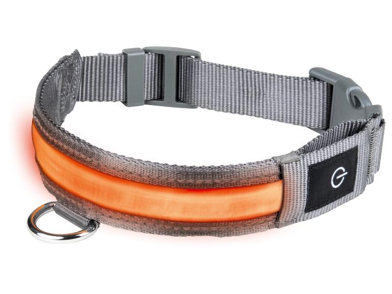 Ga naar volledige schermweergave: zoofari® LED-hondenhalsband - afbeelding 8