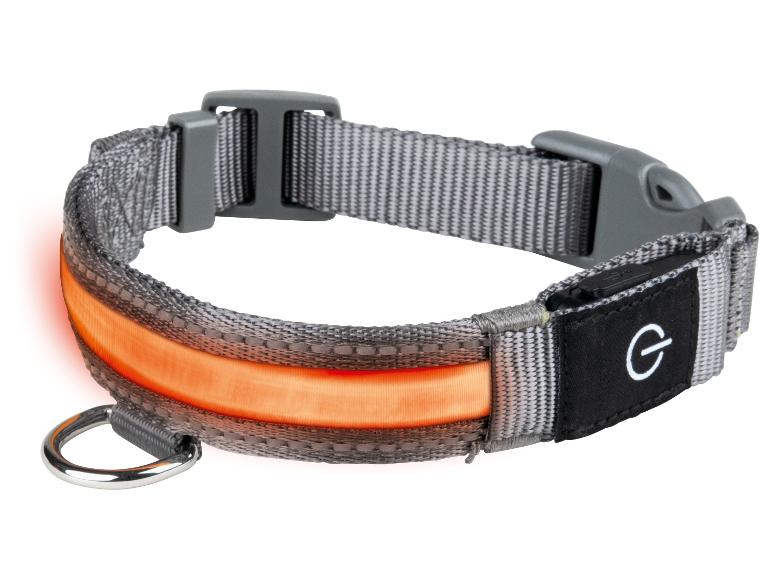 Ga naar volledige schermweergave: zoofari® LED-hondenhalsband - afbeelding 4