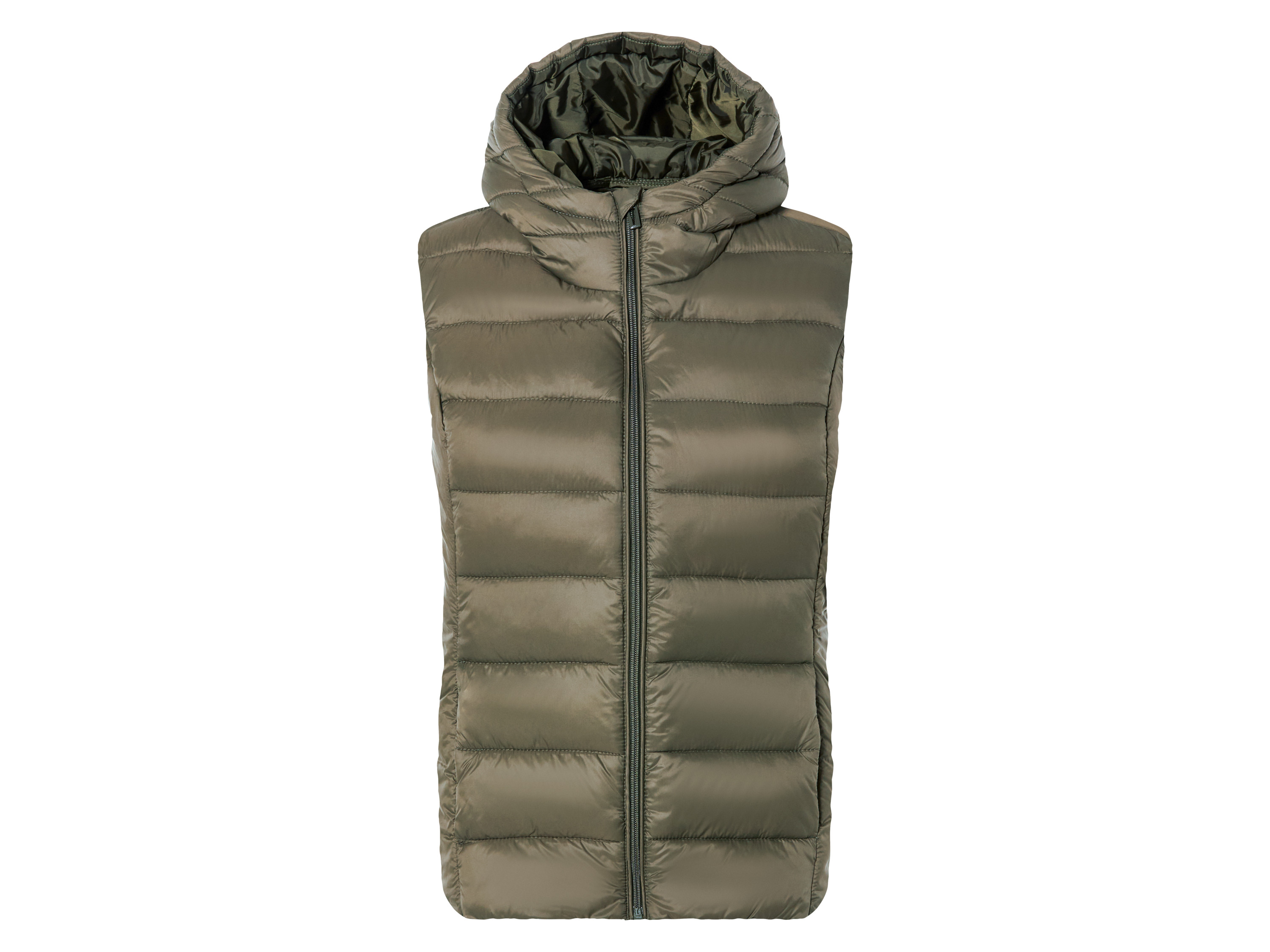 esmara Dames bodywarmer (M (40/42), Olijfgroen)