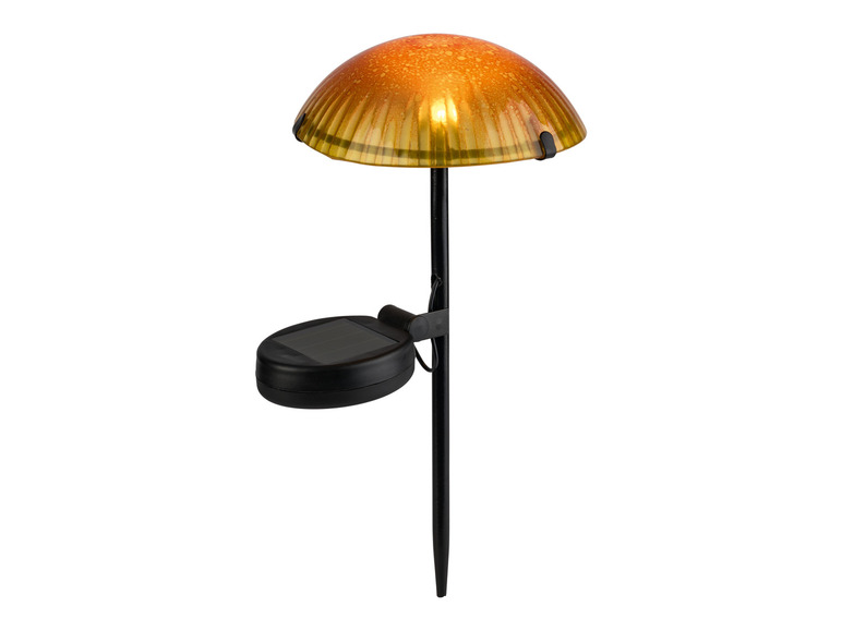 Ga naar volledige schermweergave: LIVARNO home Decoratieve LED-solarlamp - afbeelding 24