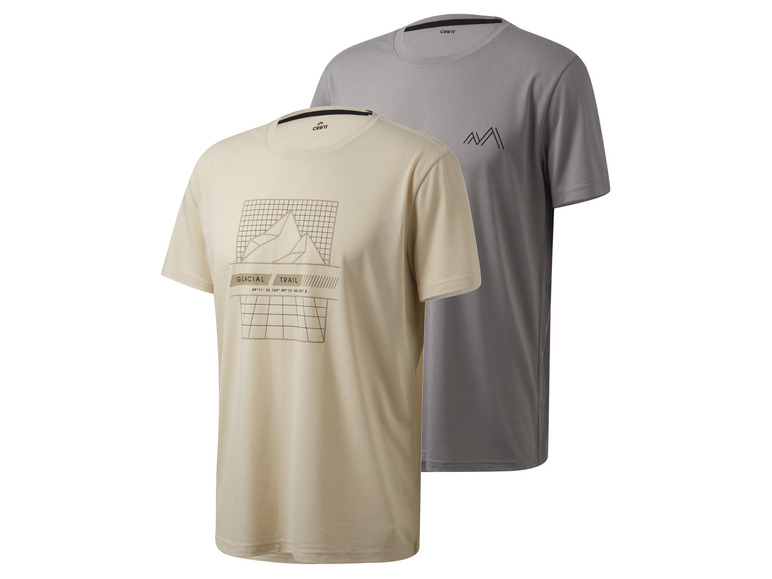 CRIVIT 2 heren sportshirts (M (48/50), Grijs/beige)