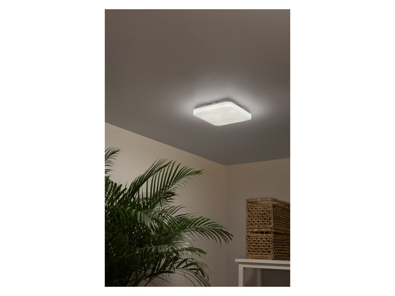 Ga naar volledige schermweergave: LIVARNO home LED-wand- en plafondlamp - afbeelding 2