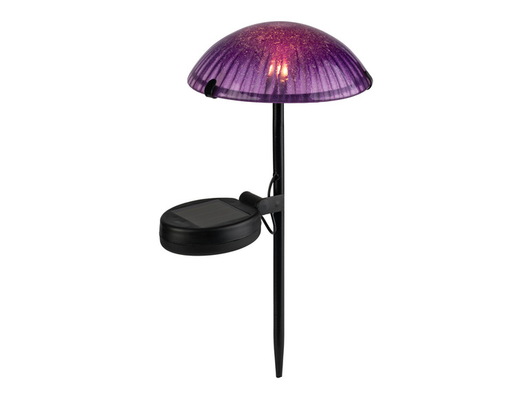 Ga naar volledige schermweergave: LIVARNO home Decoratieve LED-solarlamp - afbeelding 20