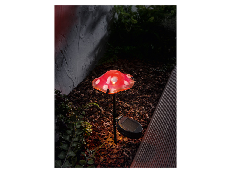 Ga naar volledige schermweergave: LIVARNO home Decoratieve LED-solarlamp - afbeelding 3