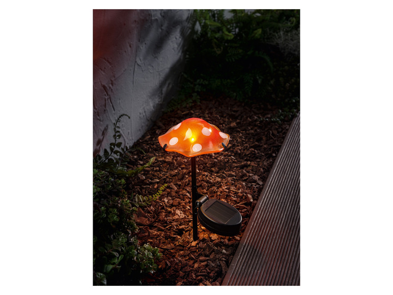 Ga naar volledige schermweergave: LIVARNO home Decoratieve LED-solarlamp - afbeelding 11