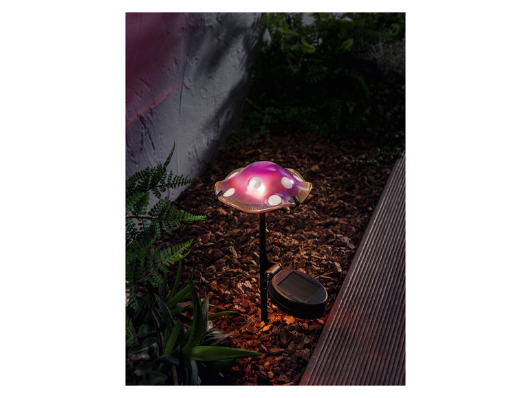 Ga naar volledige schermweergave: LIVARNO home Decoratieve LED-solarlamp - afbeelding 7