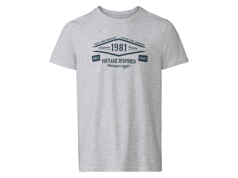 Heren T-shirt (XL (56/58), Grijs)