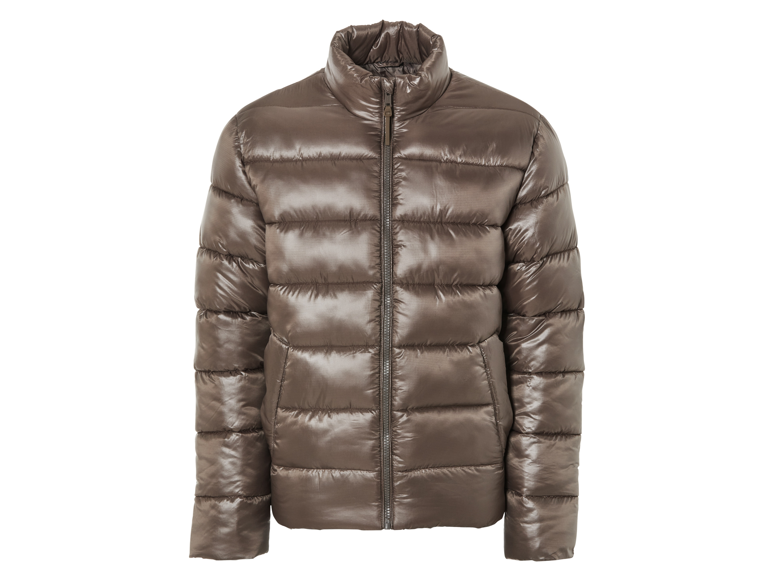 LIVERGY Heren winterjas (L (52/54), Bruin)