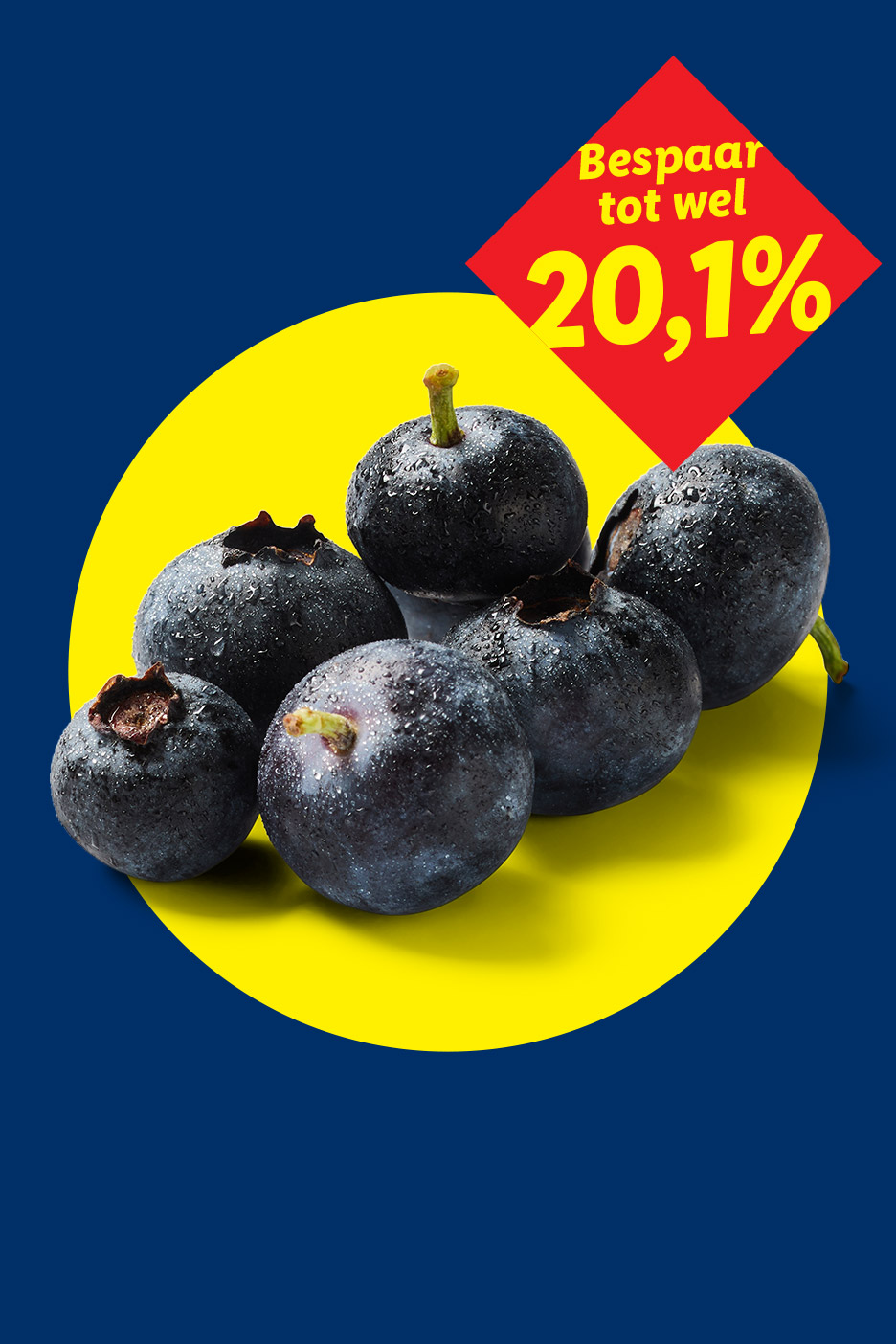 Verse bosbessen met waterdruppels op een gele cirkel, met een rode kortingssticker van 20,1%.