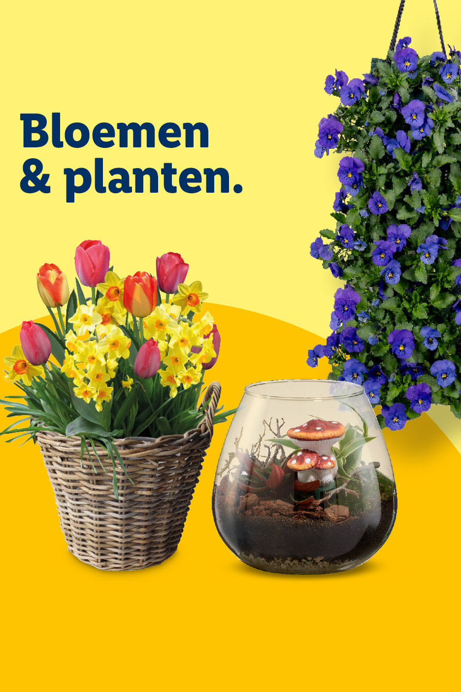 Bloemen & planten: mand met tulpen en narcissen, glazen terrarium en hangende paarse violen.